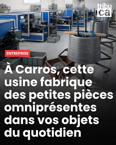 tribuca-article