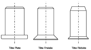 goinsert-formes-tetes